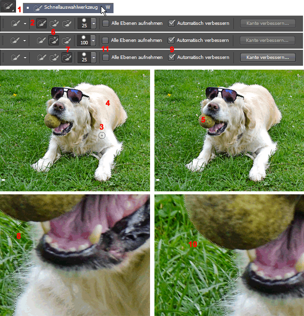 MULTIMEDIA WEBDESIGN FOTO GRAFIK  PHOTOSHOP 