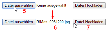 MULTIMEDIA WEBDESIGN HTML  FORMULAR 
