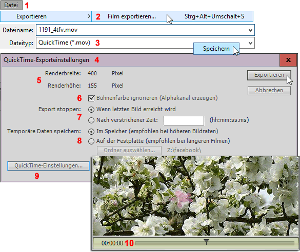 MULTIMEDIA WEBDESIGN ANIMATION  FLASH 