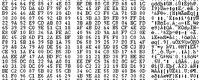 EDV  IT HARDWARE SOFTWARE  IT 