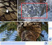 MULTIMEDIA WEBDESIGN FOTO GRAFIK  PHOTOSHOP 