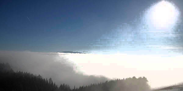 Zufallsbild 2