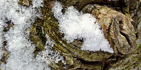 Zufallsbild 2