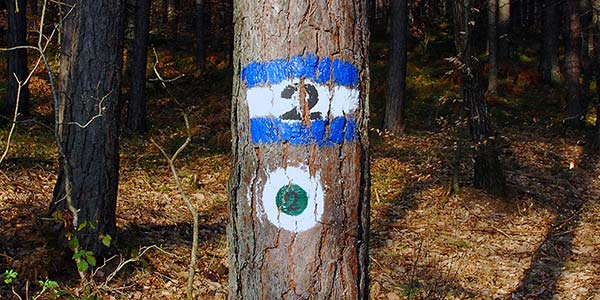 Zufallsbild 2