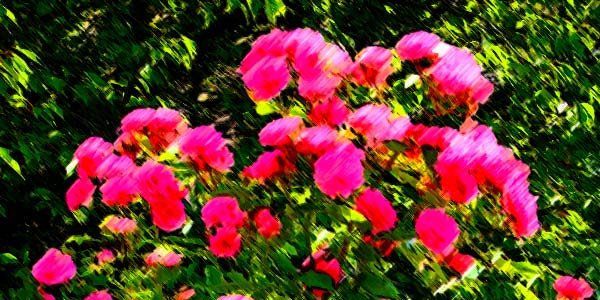 Zufallsbild 2