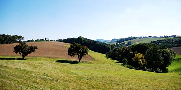 Zufallsbild 2
