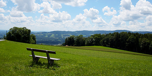 Zufallsbild 2